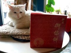 -Babycat私家御饼屋(龙头路一店)