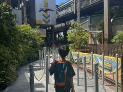 -飞天翼龙