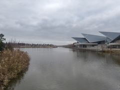 -盐城丹顶鹤湿地生态旅游区