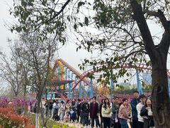 -华夏文旅海洋公园