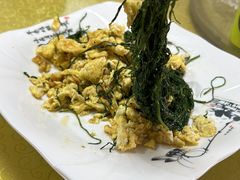 -煲来饱去冷水鱼