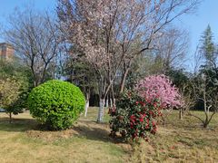 -南阳建业森林半岛假日酒店