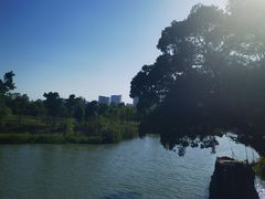 -三垟湿地