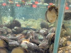 -渔码头食府(蓬莱阁店)
