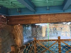 -海合安青岛极地海洋公园