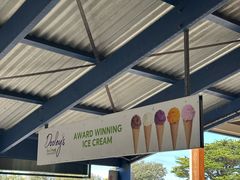 -Dooley's Premium Ice Cream