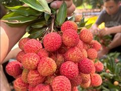 -鹏城八珍深圳特产手信(罗湖店)