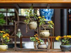 -惠山古镇·寄畅园