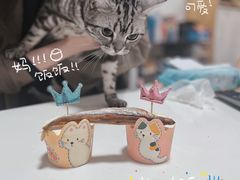 -猫大福·Fortune Cat猫舍(百子湾店)