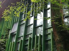 -西湖风景区-江洋畈生态公园