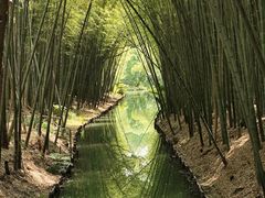 -同里国家湿地公园
