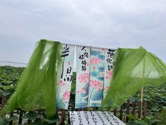 -七的湖·晚芳亭·阳澄湖农家菜·大闸蟹(莲花岛店)