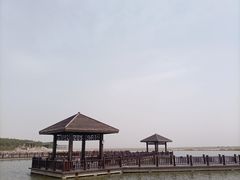-南大港湿地风景区