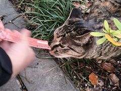 -浙江大学(玉泉校区)