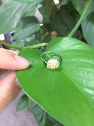 -威德钻石-克拉钻大本营(南京东路店)