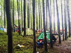 -山王坪喀斯特国家生态公园