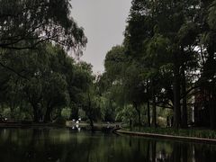 -上海滨江森林公园