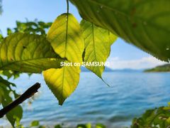 -三星授权体验店(西新街店)