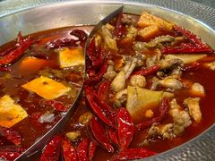 -麻田会 ·鲜活现烹·牛蛙火锅(珠江新城维家思广场店)