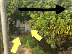 -牙山果园·烧烤野炊·钓鱼团建·烤全羊