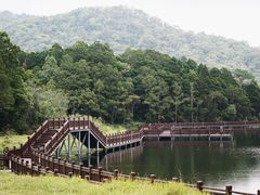 -海南热带雨林国家公园吊罗山景区