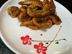 -尚帝美食城(八號院·牡丹公园店)