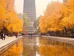 -玲珑塔公园