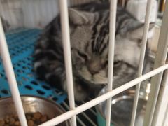 -小时光咖啡馆(北锣鼓巷店)