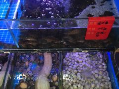 -金海湾海鲜排档(朱家尖店)