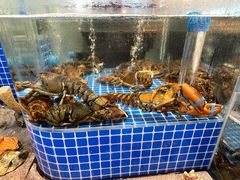 -半岛听涛蒸汽海鲜自助(K11店)