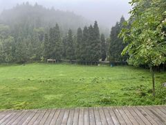 -武陵山森林公园