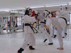 -极真空手道修远道场