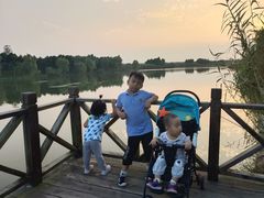 -合肥滨湖国家森林公园