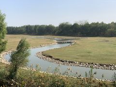 -北京麋鹿生态实验中心