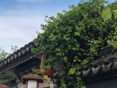 -普洱茶府(博乐广场店)