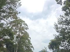 -香江大丰水峡谷漂流