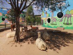 -鄂尔多斯野生动物园