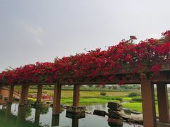 -那考河湿地公园