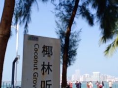 -万绿园