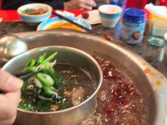 -金鼎雪山牦牛杂火锅(理县总店)