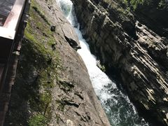 -黎坪国家森林公园