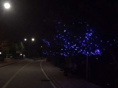 -北戴河东海水浴场