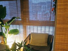 -施奈儿.洗头頭療.按摩SPA.采耳(上梅林店)