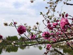 -玄武湖景区-情侣园游乐场