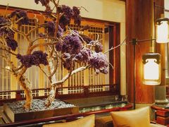 -西安华清御汤酒店