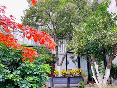 -Willing·Coffee&Brunch&Dinner(万达店)
