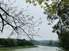 -黄龙溪古镇