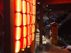-汉拿山温泉度假酒店