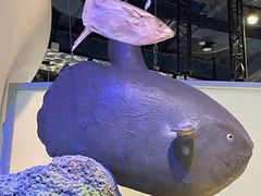 -中国（海南）南海博物馆