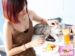 iphone_upload_pic-喵的天空名猫咖啡馆·撸猫·猫舍·用品